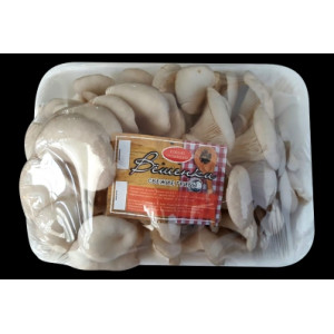 Грибы свежие (вёшенки) 1кг (лоток) 1/ 7