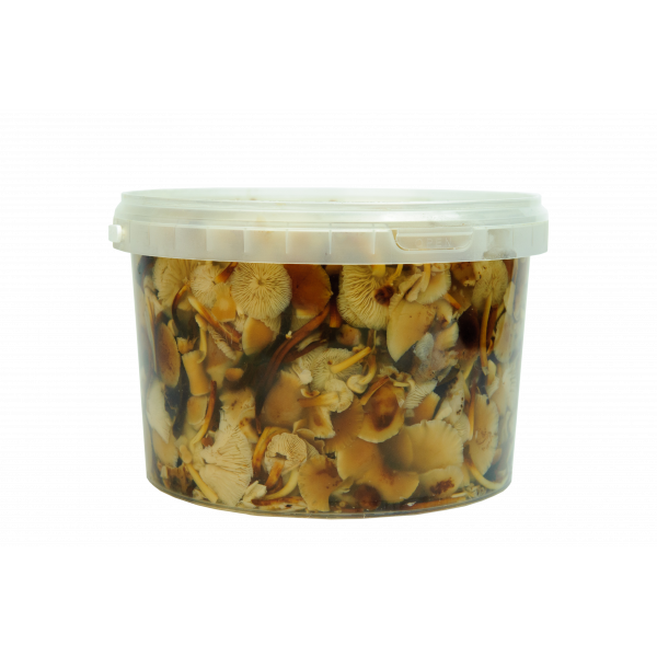 Купить Грибы маринованные (опята) 2,25кг 1/2 Купить Грибы маринованные (опята) 2,25кг 1/2